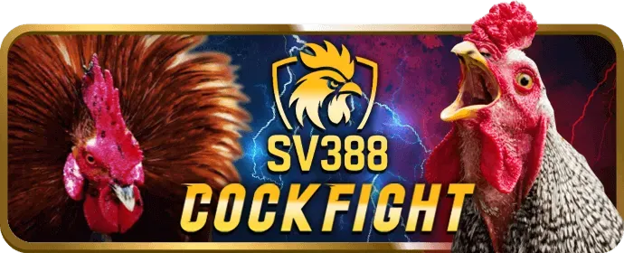 Cá cược thể thao VTY57 Nhà Cái